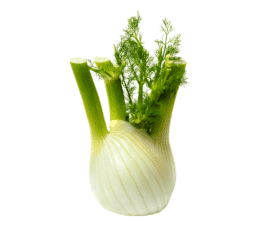 Fenouil vert – entier